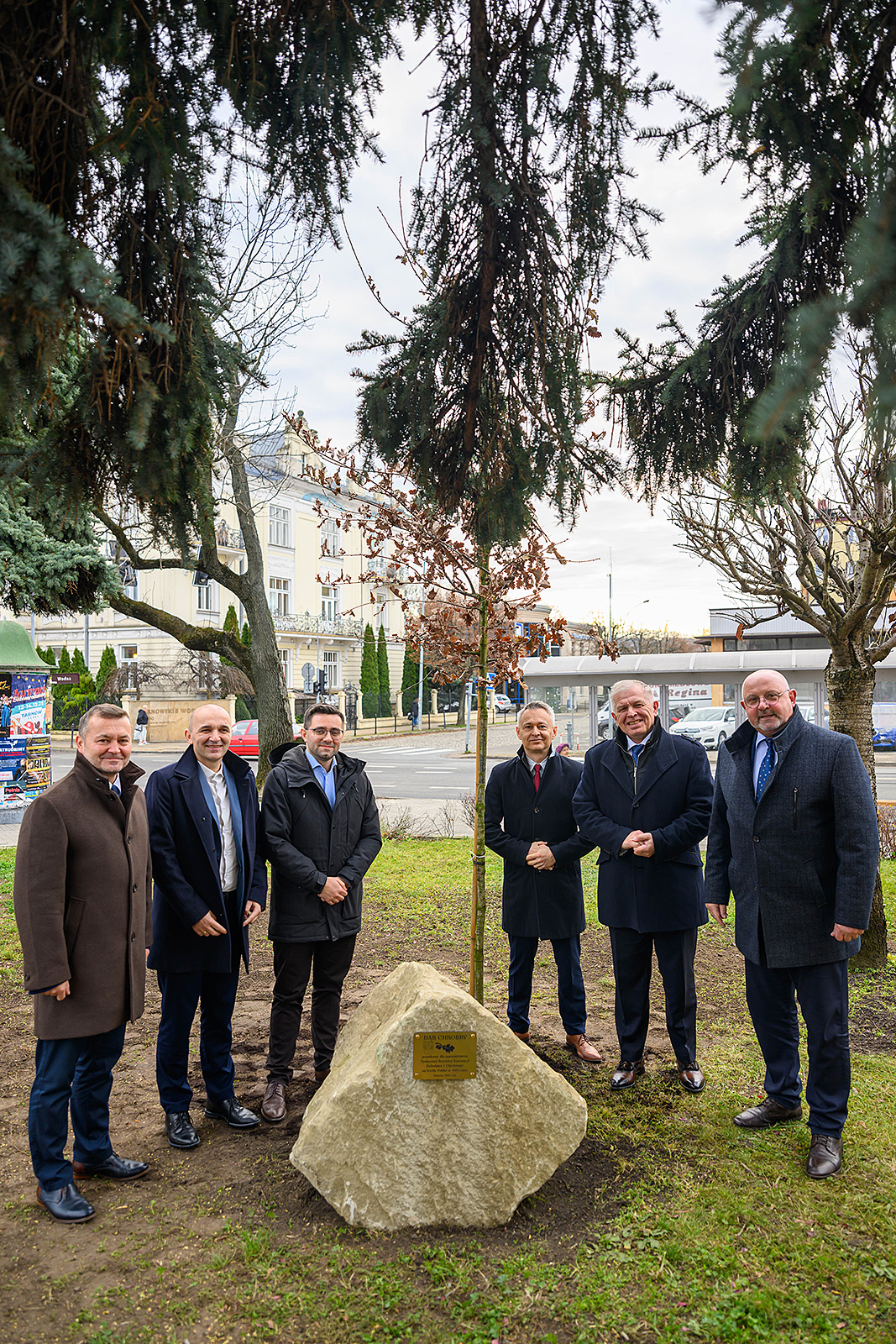 Samorządowcy przy posadzonym dębie